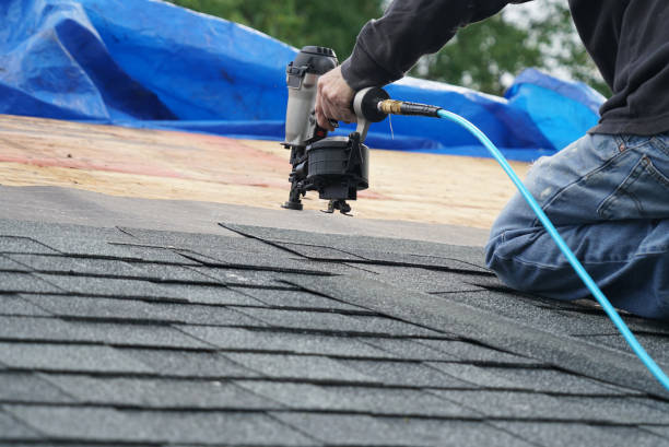 Steel Roofing in Rossville, IL