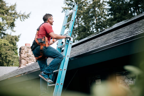 Best Asphalt Shingle Roofing  in Rossvle, IL